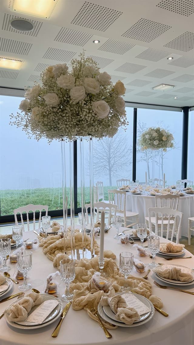 Gypsophile en hauteur, salle ouverte sur le parc — Pont-à-Mousson